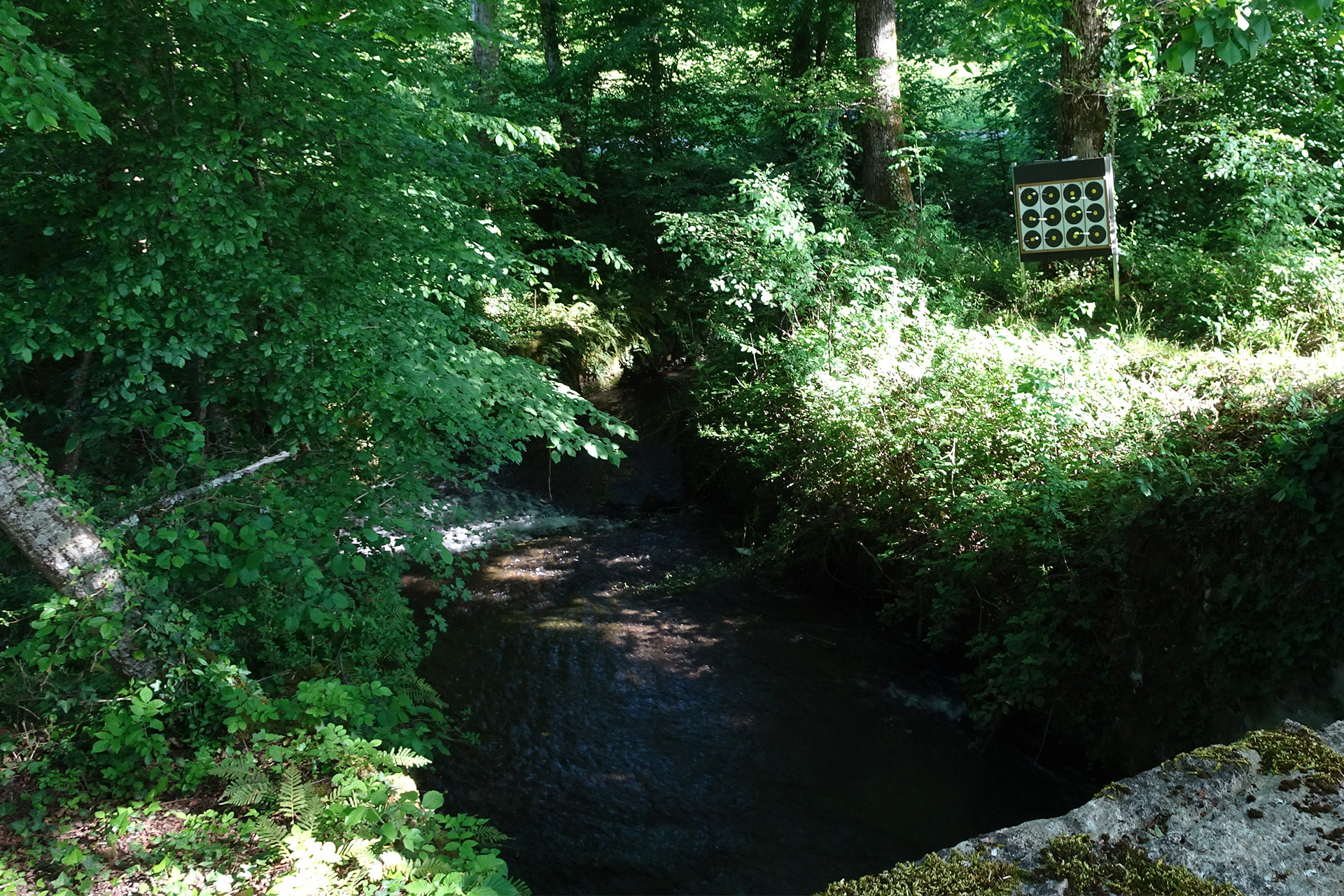 25-05-08_Campagne Argent