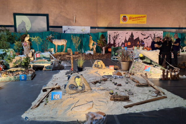 2 archers du club au 3D indoor à Ingré