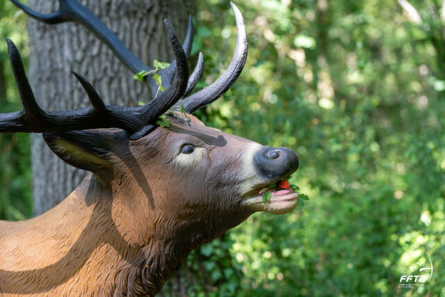Du bronze au championnat de France 3D